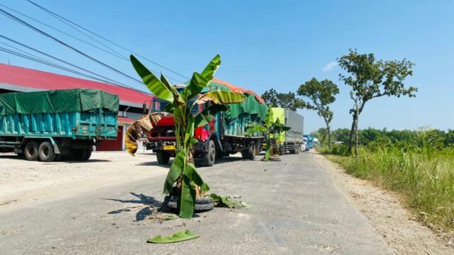 Kartu Kuning untuk Gubernur: Kemarahan Warga Blora Tumpah di Jalan Rusak Randublatung–Cepu
